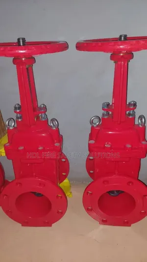 Sri Rising Stem Gate Valve (150mm)