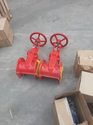 Sri Rising Stem Gate Valve 100mm