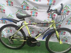 Bicycle Size 24 Lemon Huffy
