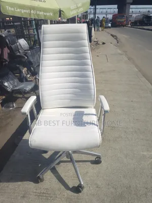 Governor/Senator Office Chair