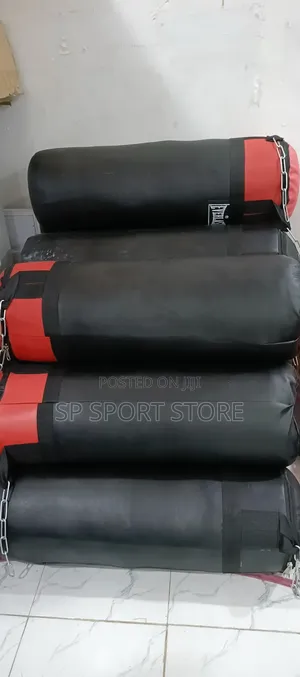 Everlast Punching Bag