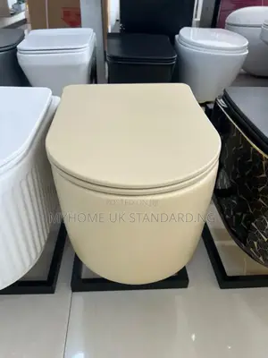 Wall Hung Wc Big Set
