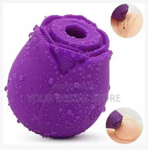 Usb Rose Vibrator Vagina Clitoris Sucker