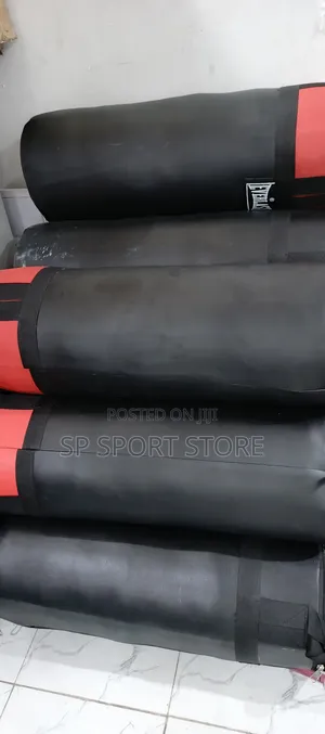 Hanging Punching Bag