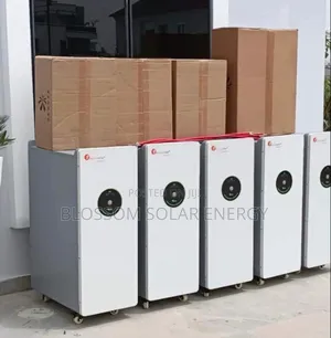 15kw 51.2v Felicity Lithium Ion Battery