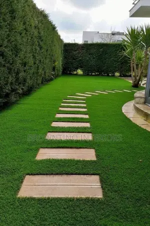 Turkish Carpet Grass, We Have Different Textures