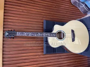 Bullfighter Semi Acoustic Guitar