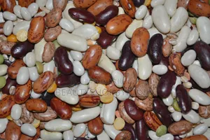 Cholent Mix Beans- 454g
