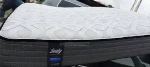 Seally Posturepedic Spring Mattress for Back Pain