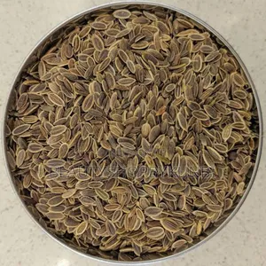 Dill Seeds