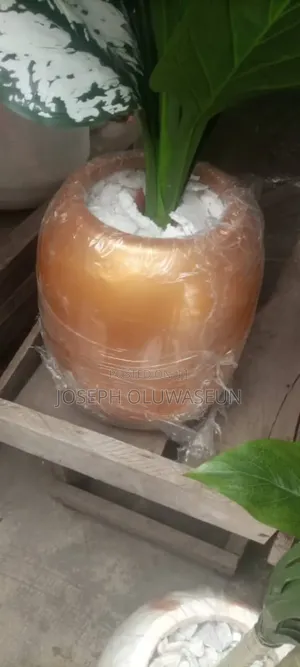 Indoor Flower Pots