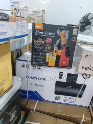 Original Raf 150w Slow Juicer – R.2831 Affordable Durable