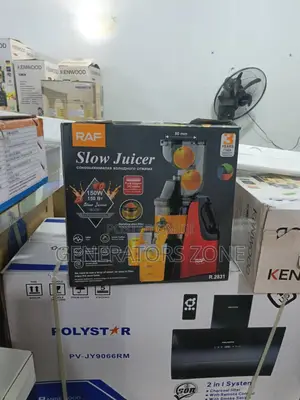 Raf 150w Cold Press Juicer R.2831 Best for Fruits Veggies