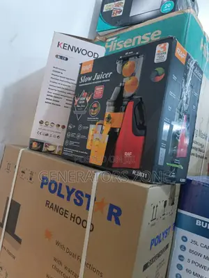 Raf Slow Juicer (R.2831) – Energy-Efficient 150w Juicer