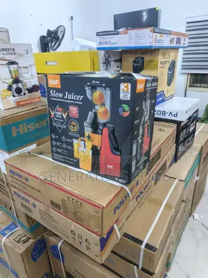 Raf Slow Juicer – Family Friendly | Model R.2831