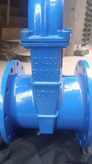 Dn250 Valve