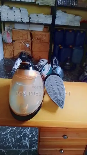 Top Quality Industrial Philip Steam Iron