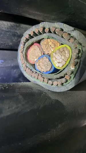 95mmx4 Coleman Wire and Cable Nigeria Amored