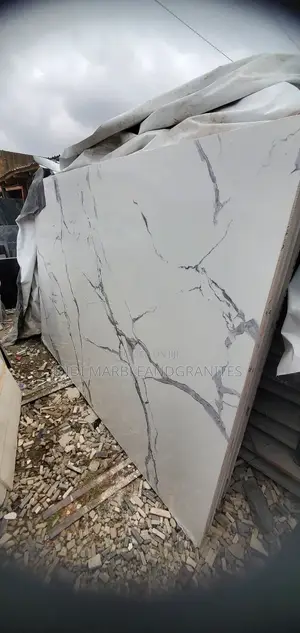 Big Bold White Quartz for Counter Top