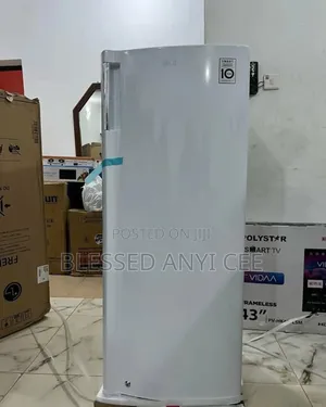 Lg Upright Freezer 200l (110w) Fast Freezing for Business