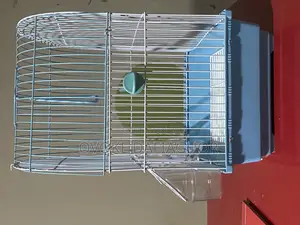 Fancy Bird Cage