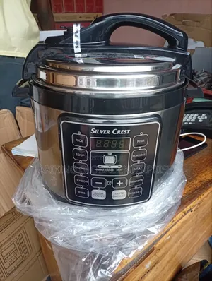 Best Portable Electric Pressure Pot Cooker