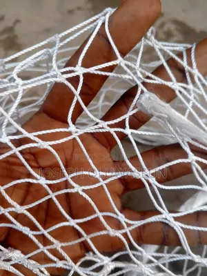 Original Net for Pound