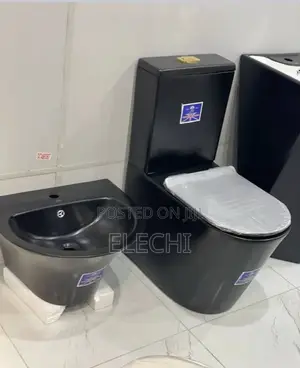Black Wc With Wall Hung Basin
