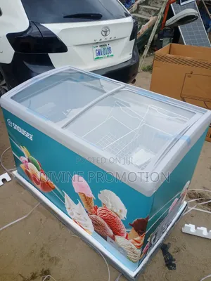 368 Liters Snowsea Ice Cream Freezer/ Chiller