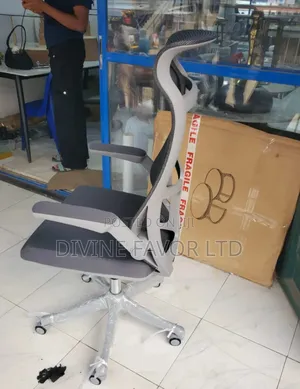 Executive Office Chair With Back Support