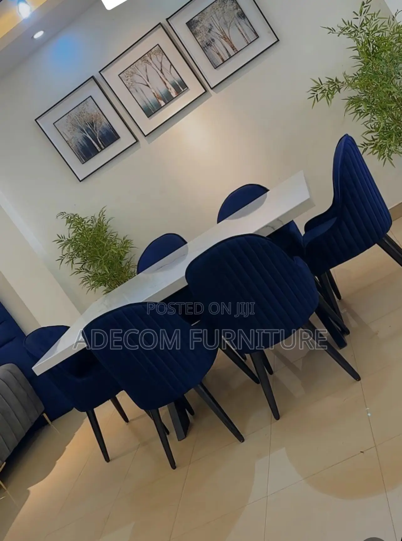 Dining 6 Chairs