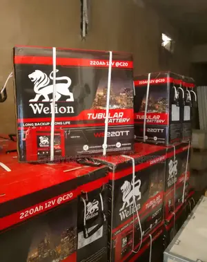 220ah Welion Tubular Battery
