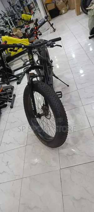 Fat Tyre Bike