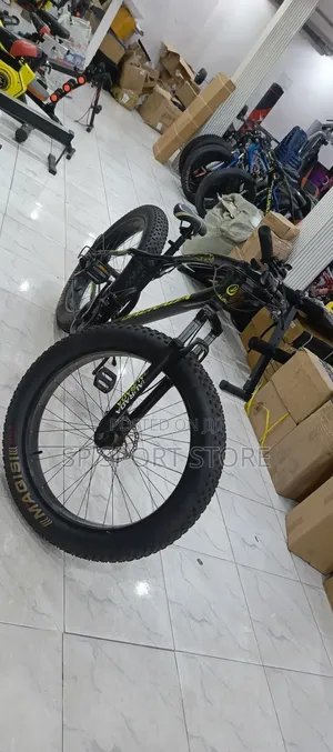 Fat Tyre Bike
