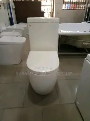 Top Quality Executive Toilet Seat With Basin and Pedestal