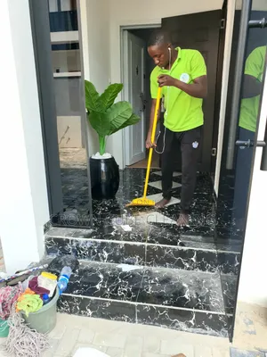 Cleaning Service in Ikeja/ Best Cleaning and Fumigation