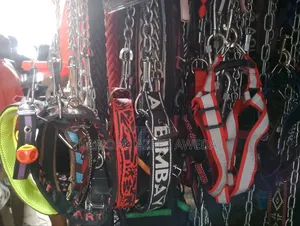 Dog Chain With Belt Original
