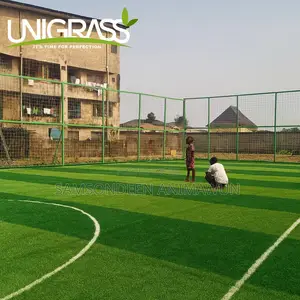 Quality Football Grass