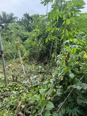500 Acres Land 4 Sale at Odeda Abeokuta in a Saved Location