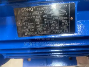 Electric Motor