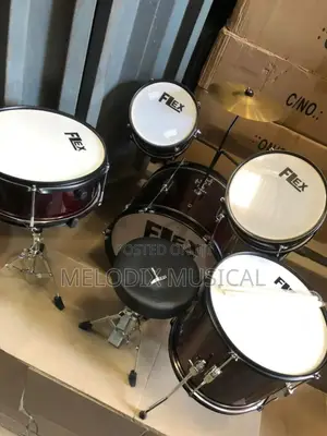 Flex 5 Sets Children's Drum Set