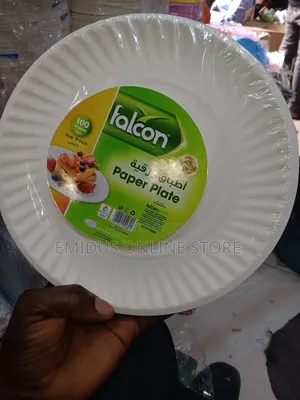 Big Disposable Flat Plate