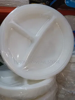 Divider Disposable Plates Pack of 25