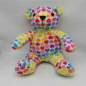 Unique Rainbow Teddy Bear Gift Toy Bear