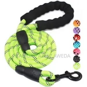 Dog Leash With Padded Handle 6x6