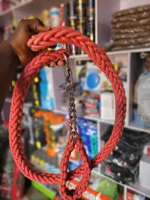Double Rope Dog Leash Collar Set For Large Dogs