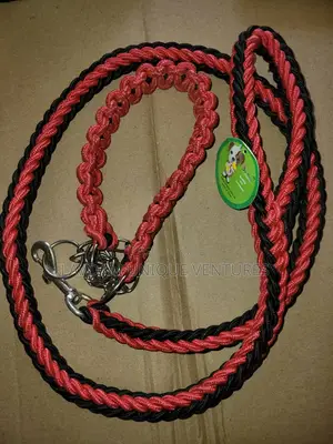 Heavy Duty Dog Leash Collar Set With P Chain