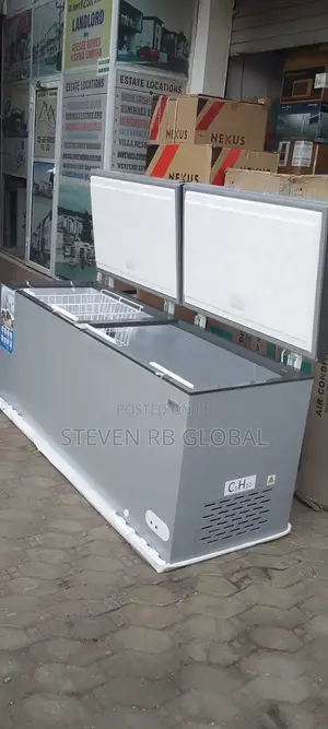 Nexus 700l Double Door Chest Freezer – Silver | Nx-770c