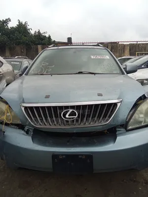 Lexus RX 2007 Blue