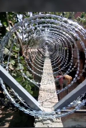 Stainless Razor Wire